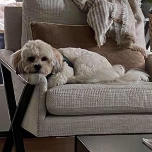 Meet your Posher, Mary beth